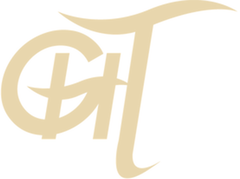 Grand Hotel Tiziano e dei Congressi Logo sfondo Newsletter